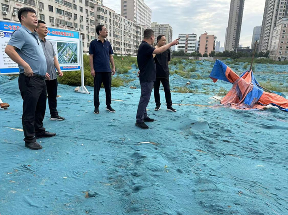 开云网页版·官方版在线登入-开云(中国)
党委委员、副总经理张岩到侯寨新镇区安置区调研项目建设工作